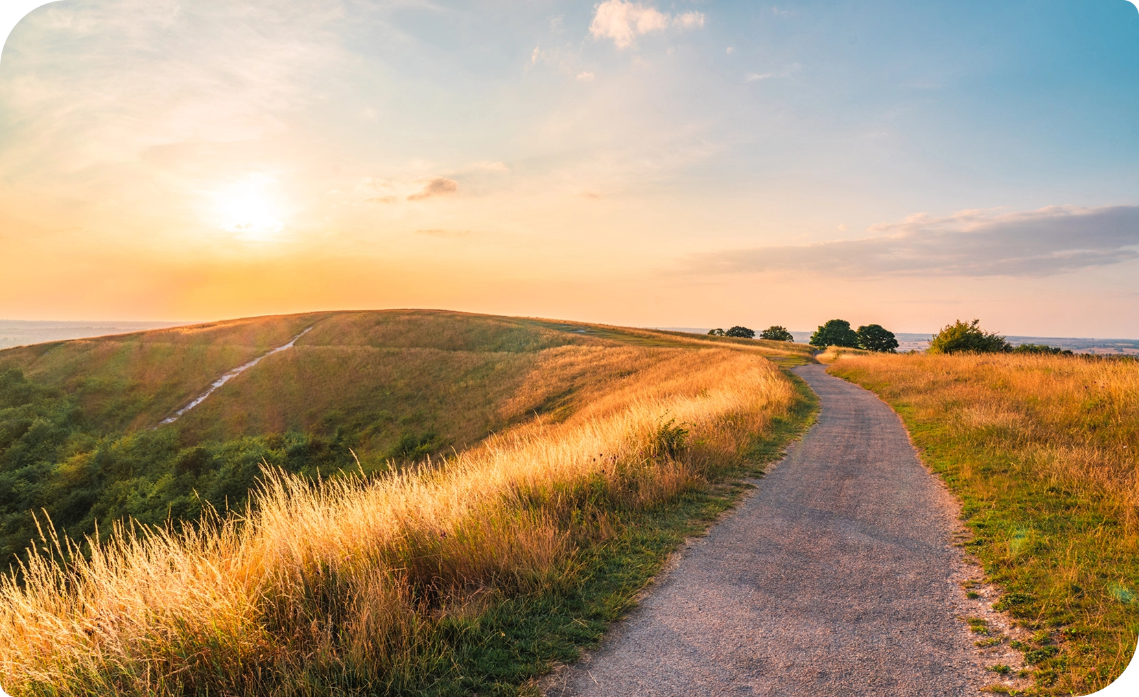 Dirt road winding through a grassy field at sunset, with trees on either side of the road